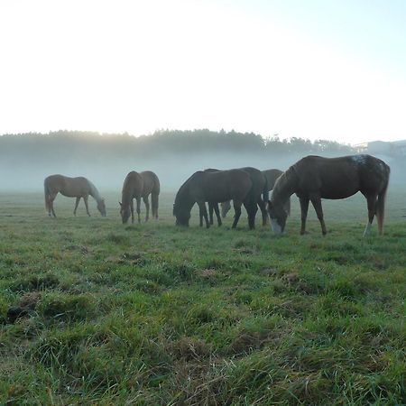 Holiday Home Mb Ranch Plzen Ngoại thất bức ảnh